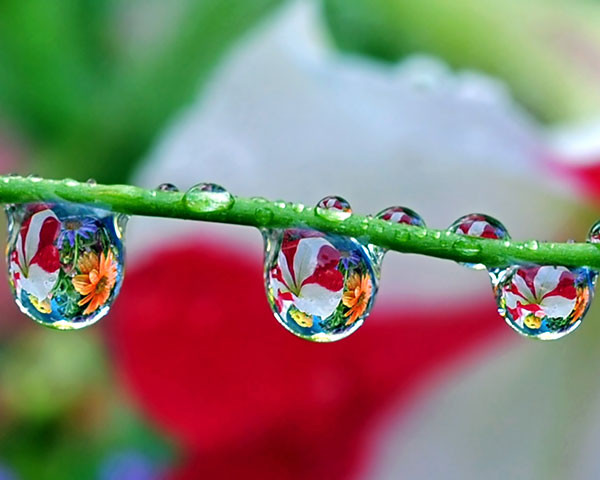 Migren ve fibromiyalji