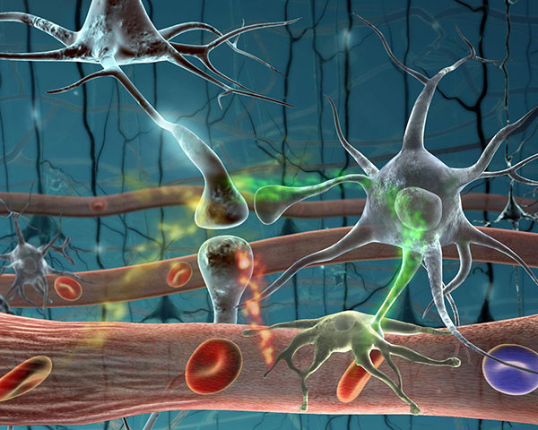 nöral terapide bozucu alan