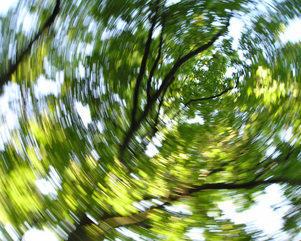 vertigo nedir
