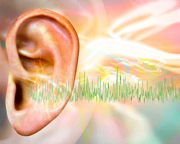 Tinnitus and migraine patient. Dr. Emel Gokmen