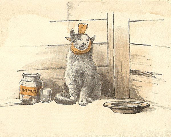 Diş çekimi sonrası ağrı Dr. Emel Gökmen