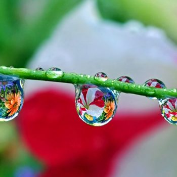 Migraine and Fibromyalgia are Curable Dr. Emel Gokmen